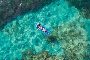 Punta Cana: Reef Explorer