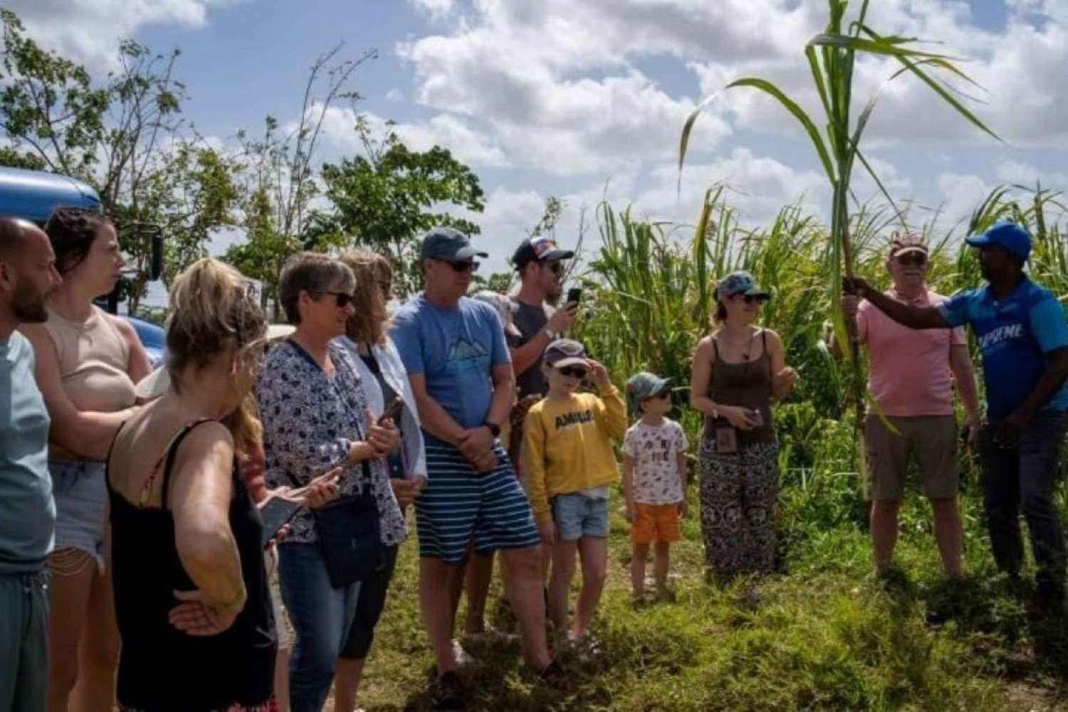 Punta Cana: Safari og byomvisning med ridning