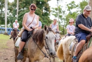 Punta Cana: Safari and City Tour with Horseback Riding