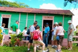 Punta Cana : Safari et visite de la ville à cheval