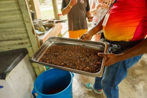 Punta Cana safari experience and historical city tour