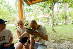 Punta Cana safari experience and historical city tour