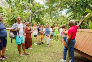 Punta Cana safari experience and historical city tour