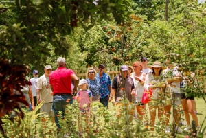 Punta Cana safari experience and historical city tour