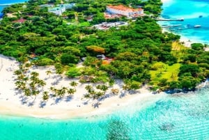 Punta Cana: Miches ATV-tur med frokost og badning