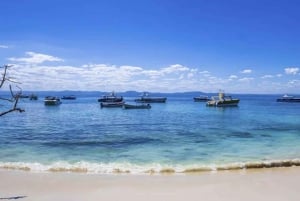 Punta Cana: Miches ATV-tur med frokost og badning