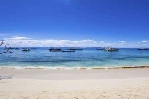 Punta Cana: Miches ATV-tur med frokost og badning