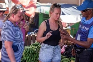 Punta Cana: Samaná-bukten, Bacardí-øya og El Limón-fossen