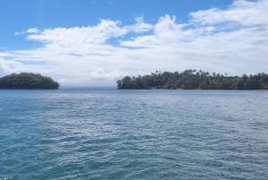 Punta Cana:Samaná Bay,Bacardí Island and El Limón Waterfall