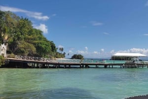 Punta Cana: Samaná Bay, Bacardín saari ja El Limónin vesiputous.