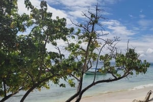 Punta Cana: Samaná-bukten, Bacardí-øya og El Limón-fossen