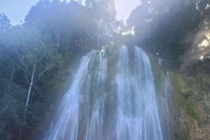 Punta Cana: Dagstur til Samaná-bukten og El Limón-fossen