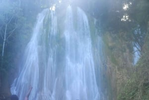 Punta Cana: Dagstur til Samaná-bukten og El Limón-fossen