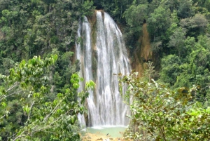 Punta Cana: Dagstur til Samana Cayo Levantado og fossen