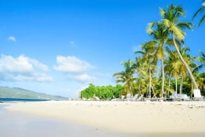 Punta Cana: Samana Cayo Levantado & Limón Waterfall