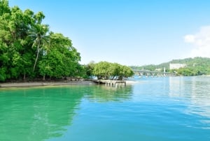 Punta Cana: Samana Cayo Levantado & Limón Waterfall