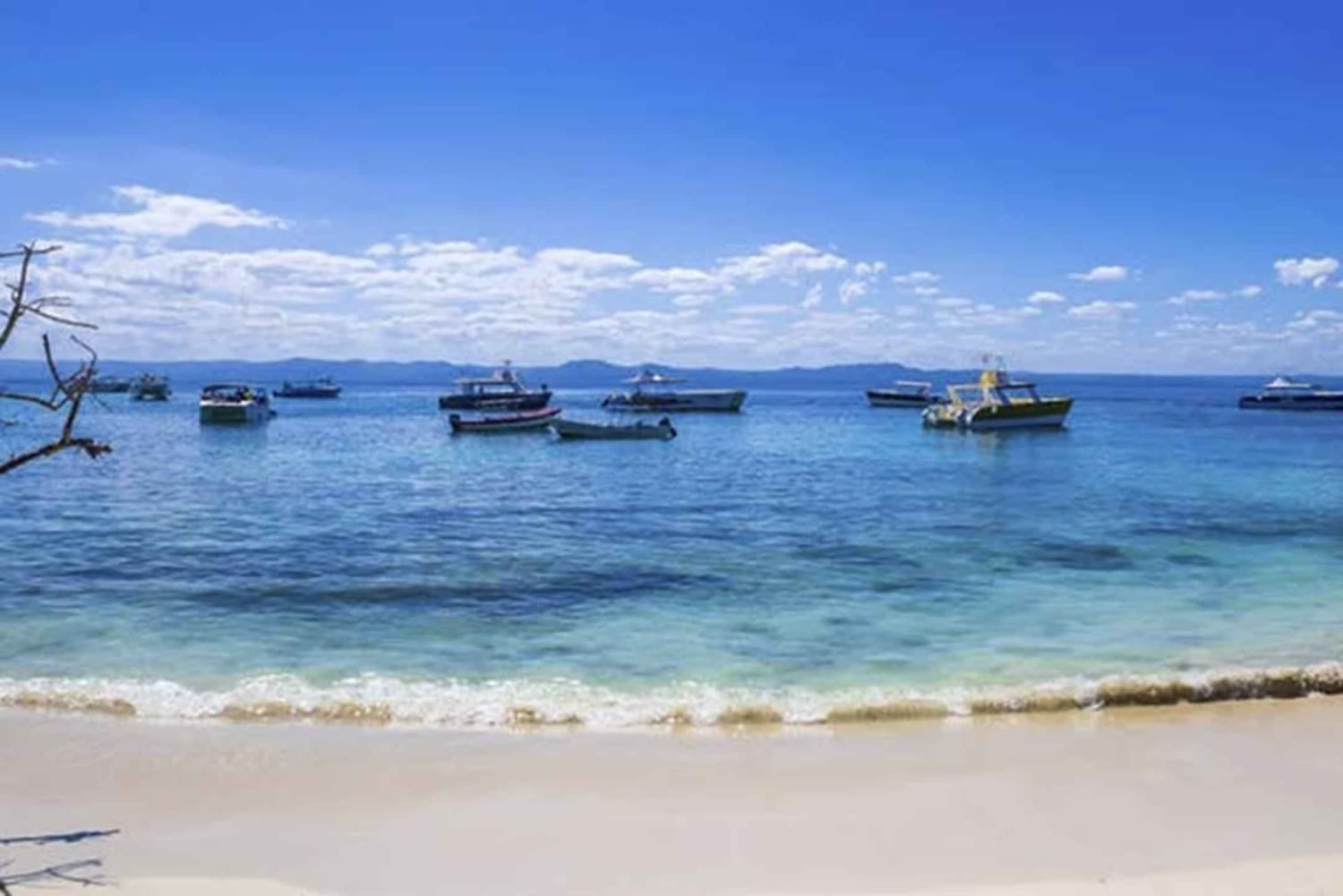 Punta Cana: Samaná Day Trip with El Limón & Bacardí Island