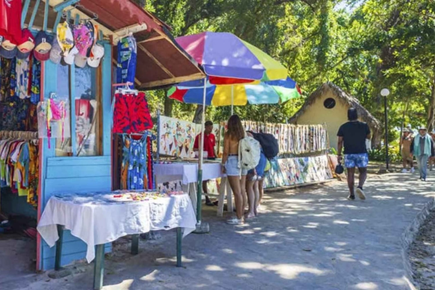 Punta Cana: Samaná Day Trip with El Limón & Bacardí Island