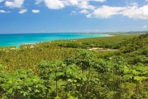 Punta Cana: Samaná Day Trip with El Limón & Bacardí Island