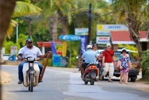 Punta Cana: Samaná Day Trip with El Limón & Bacardí Island