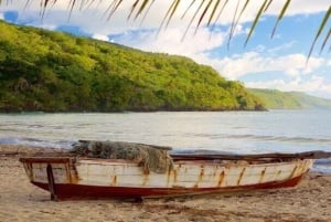 Punta Cana: Samaná Day Trip with El Limón & Bacardí Island