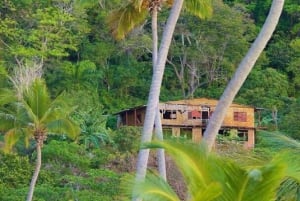 Punta Cana: Samaná Day Trip with El Limón & Bacardí Island