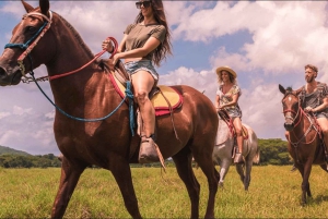 Punta Cana: Samaná Day Trip with El Limón Waterfall