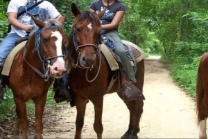 Punta Cana: Samaná Day Trip with El Limón Waterfall