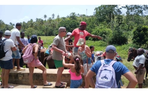 Punta Cana: Samaná Day Trip with El Limón Waterfall