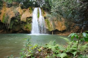 Punta Cana: Samaná Day Trip with Waterfall & Cayo Levantado