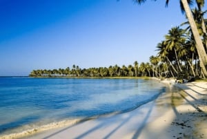 Punta Cana : Chute d'eau de Samana El Limón et île de Bacardi depuis Punta Cana