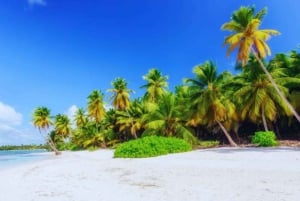 プンタカナを探索：バギーツアー、エルマカオビーチ、ブルーセノーテ