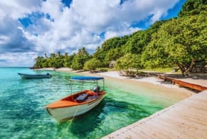 プンタカナを探索：バギーツアー、エルマカオビーチ、ブルーセノーテ