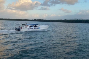 Punta Cana: Samana Cayo Levantado / Visita a la ballena