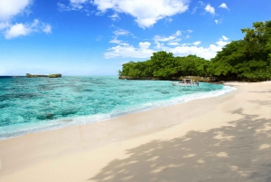 Punta Cana:Samana PanoramicCity tour+Buggy tour+Playa Rincon