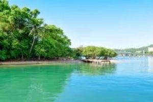 Punta Cana: Samaná Peninsula & Cayo Levantado Day Trip