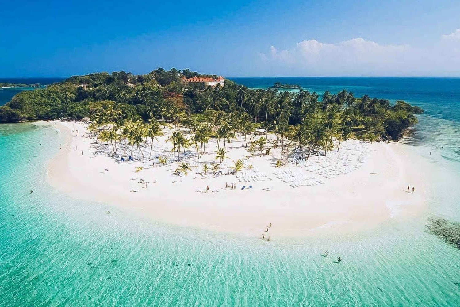 Punta Cana: Dagsutflykt till Samanáhalvön för valskådning