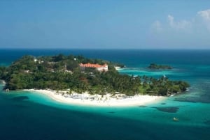 Punta Cana: Dagsutflykt till Samanáhalvön för valskådning