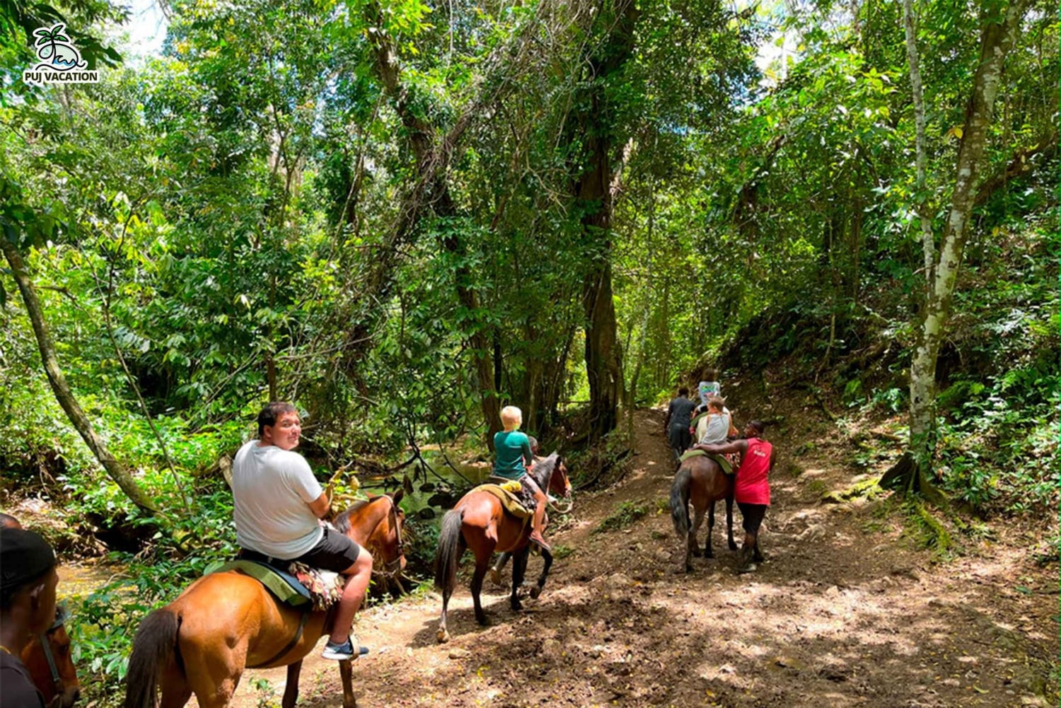 Punta Cana: Samana safari between waterfalls and beaches