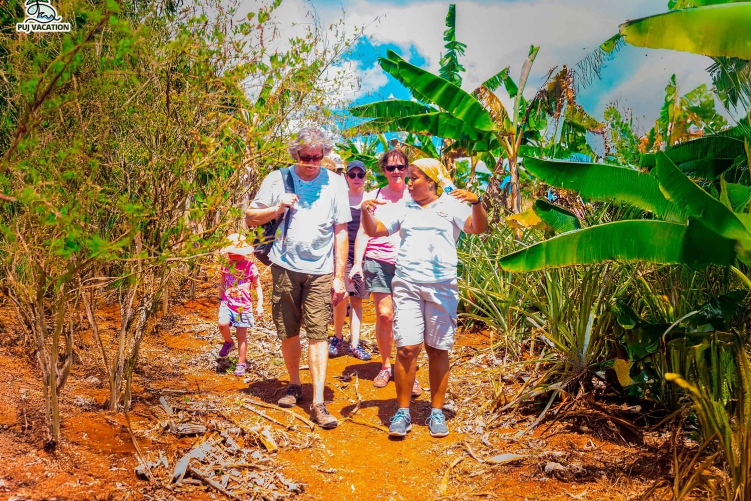 Punta Cana: Samana safari between waterfalls and beaches