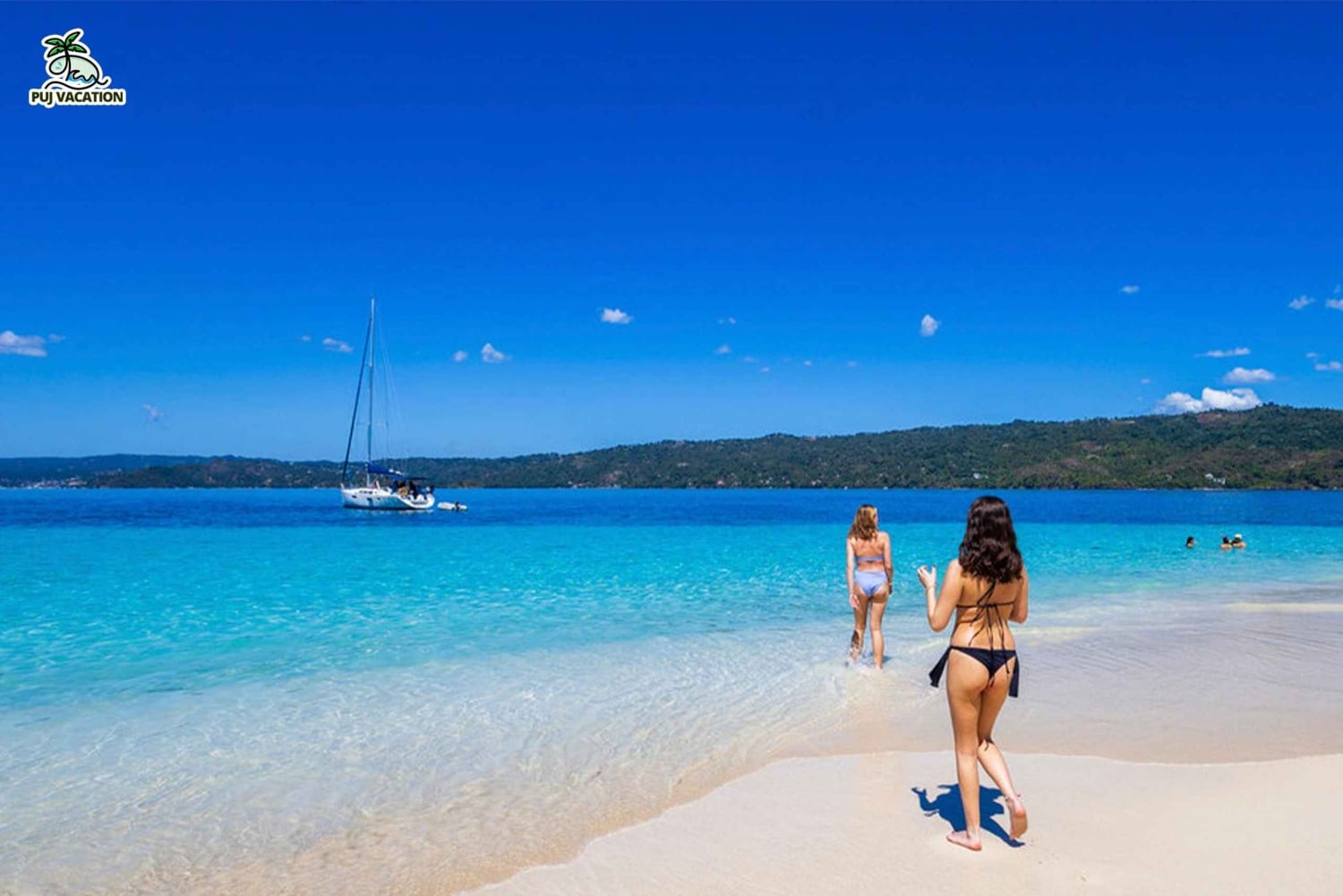 Punta Cana: Samana safari between waterfalls and beaches