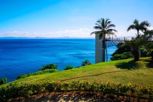 Punta Cana: Samana safari between waterfalls and beaches