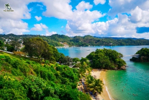 Punta Cana: Samana safari between waterfalls and beaches