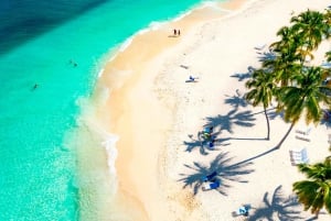 Punta Cana: Samana safari between waterfalls and beaches