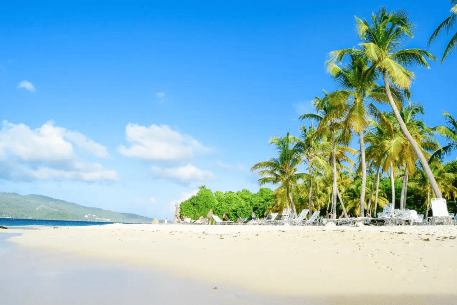 Punta Cana: Samaná Whale Watching and El Limón Day Tour