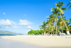 Punta Cana: Samaná Whale Watching and El Limón Day Tour