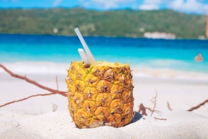 Punta Cana: Samaná Whale Watching and El Limón Day Tour