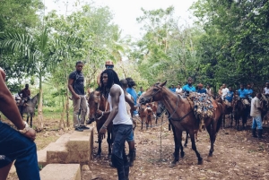 Punta Cana: Samaná Whale Watching and El Limón Day Tour