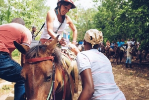 Punta Cana: Samaná Whale Watching and El Limón Day Tour