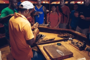 Punta Cana: Samaná Whale Watching and El Limón Day Tour